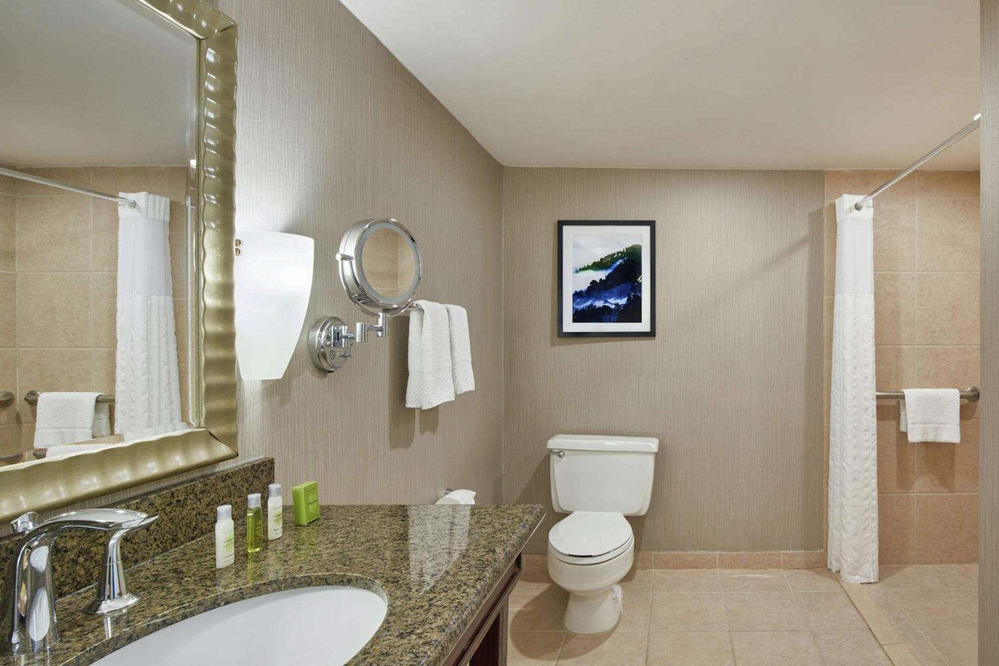 King Room Roll Shower Mobility or Hearing Accessible,1552318117:JPEG