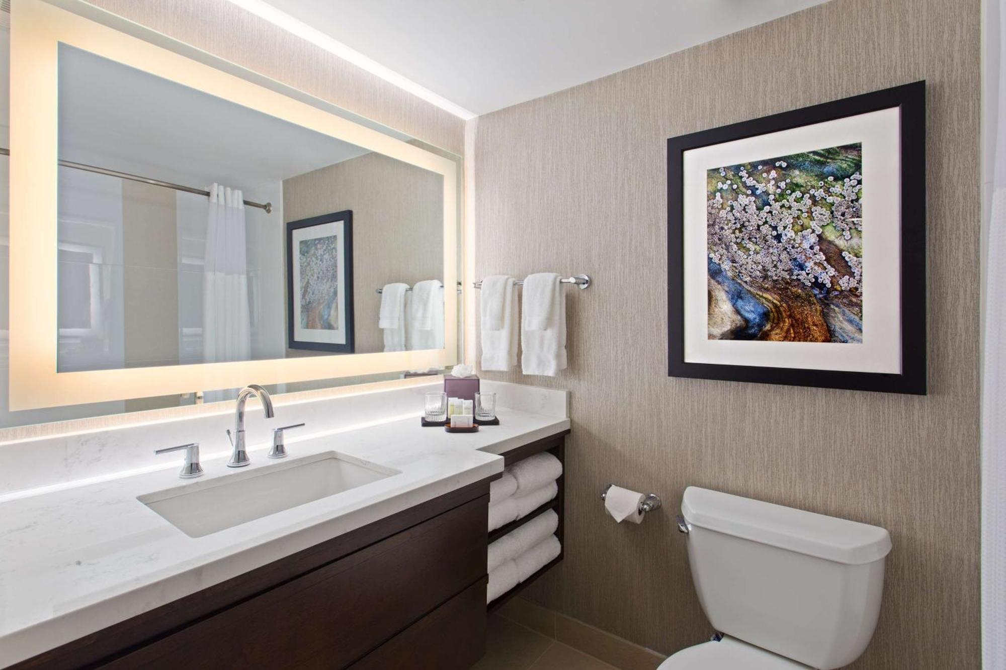 Suite King con 1 Camera da Letto e Divano-Letto