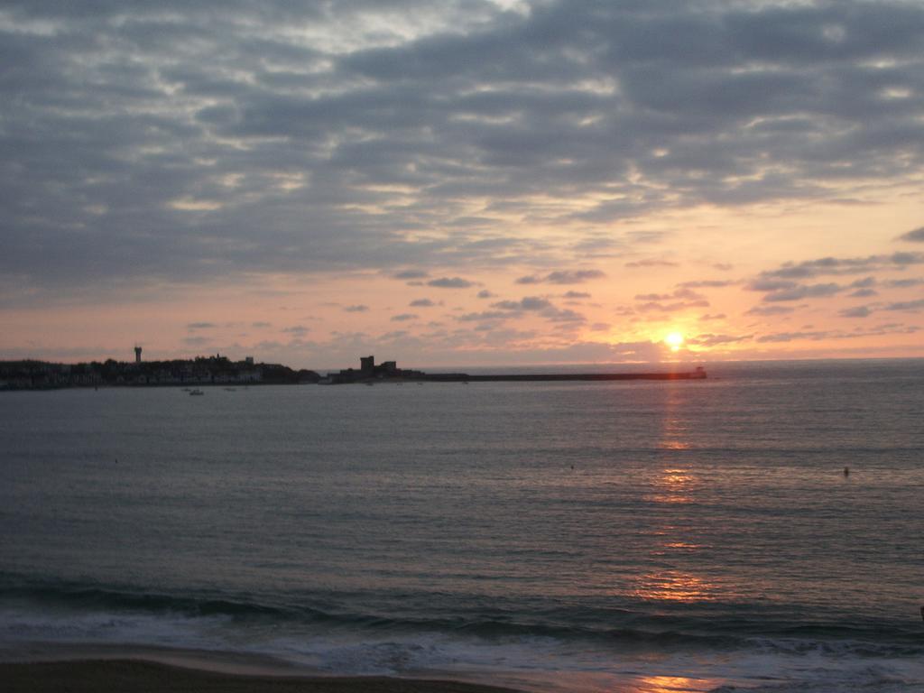 Double or Twin Room with Ocean View,237468377:JPEG