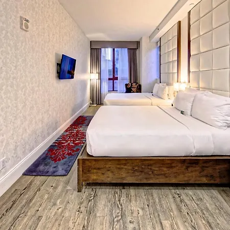 Hotel Indigo Brooklyn, An Ihg Hotel-3