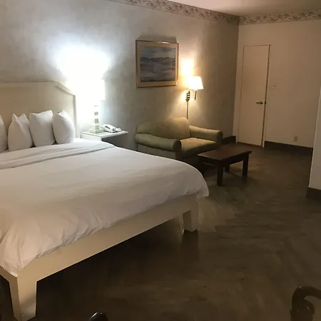 Hollywood Hotel-3