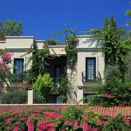 Zeytinada Hotel-2