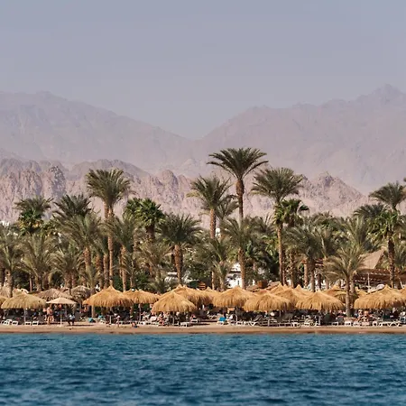 Jaz Sharm Dreams-3