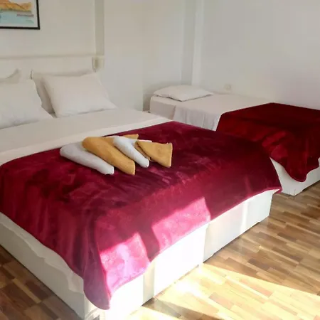 The Mango Guest House-3