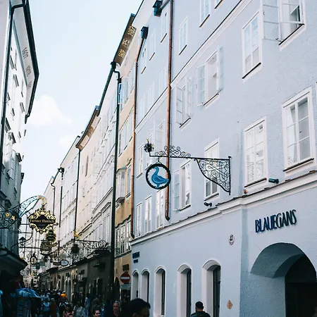 artHotel Blaue Gans-2