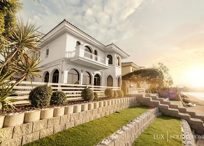 Lux The White Palm