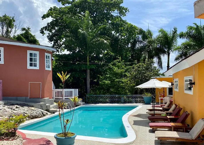 Bed and Breakfast Blue Orchid B&B