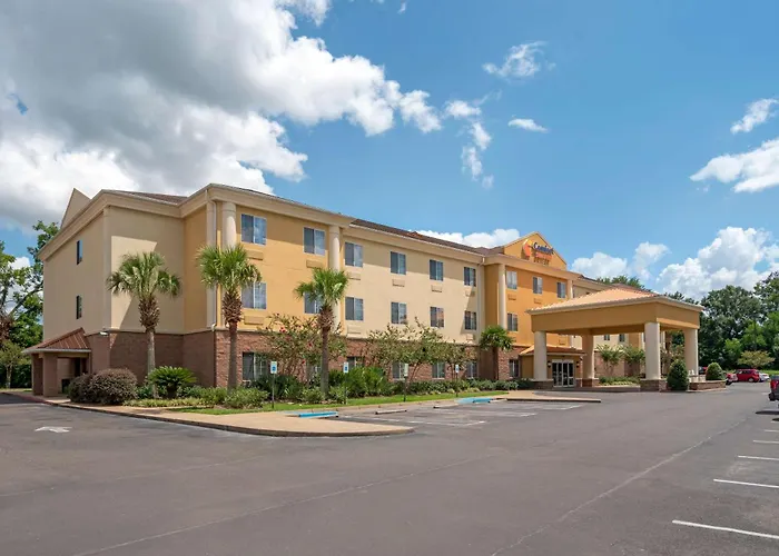 Comfort Suites Alexandria North