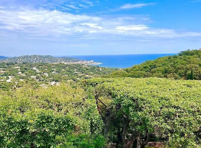 Hôtel de plage: Les Collines