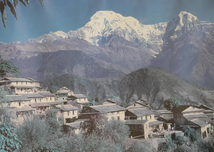 Pension Guide Mount Annapurna Guest House