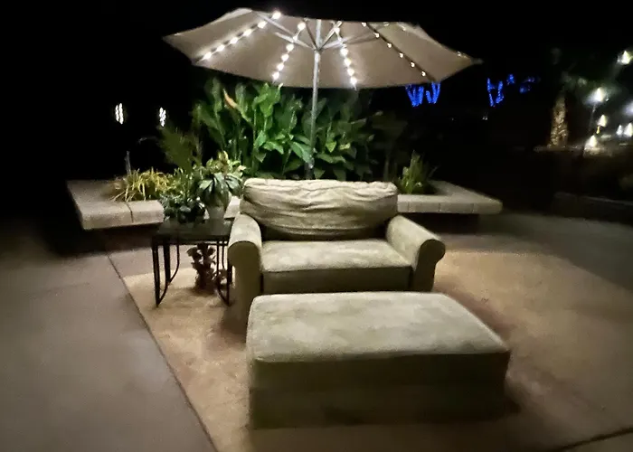 The Oasis