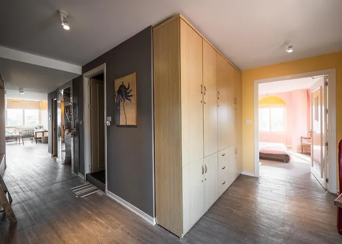 Eco Nest & Apartment