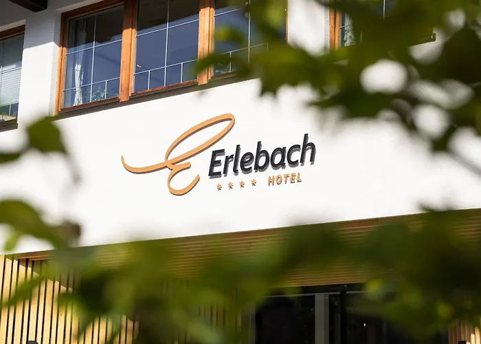 Hotel Erlebach 4