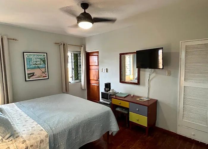 Bed and Breakfast Blue Orchid B&B