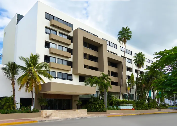 Dog friendly hotels Smart Cancun The Urban Oasis