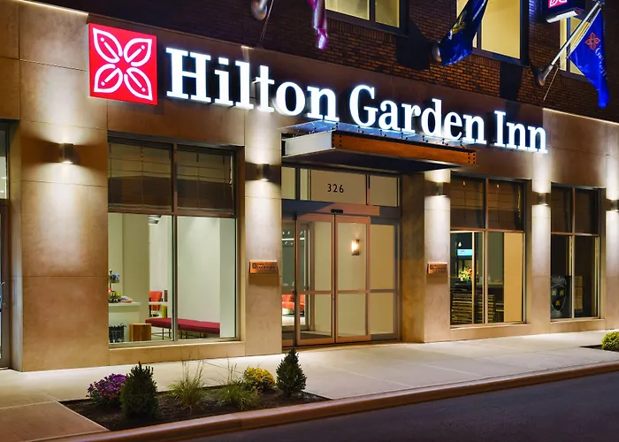 Hôtel 3 étoiles: Hilton Garden Inn New York Times Square South