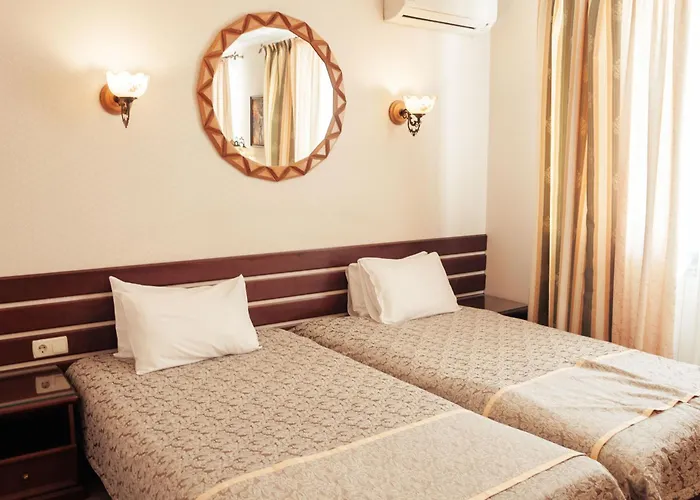 Pet Friendly hotel: Oselya Hotel