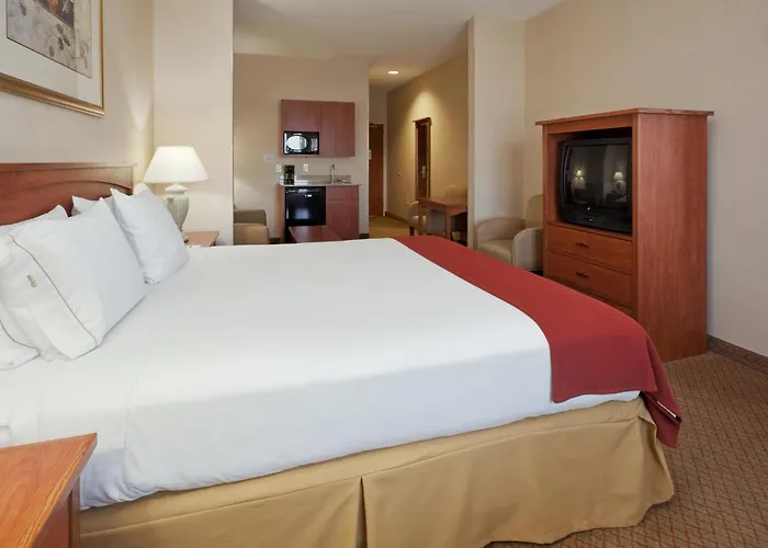 Holiday Inn Express Hotel & Suites Carson City By Ihg