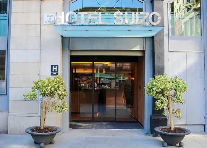 Suizo