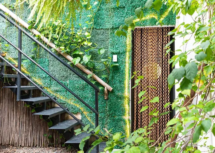 Hostel Musa Paradisiaca