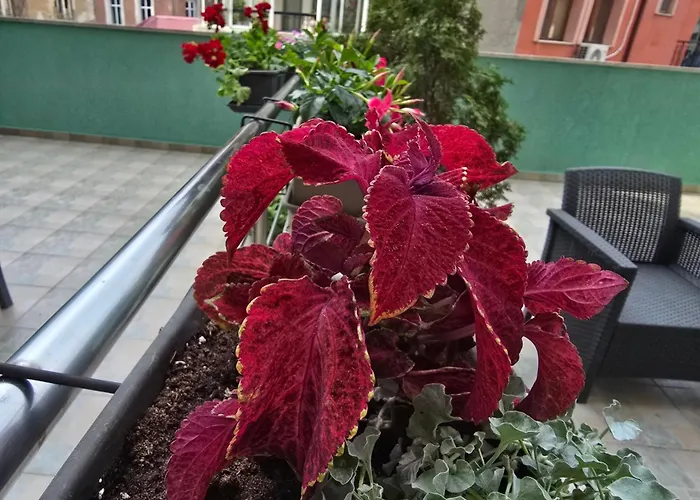 Bright House