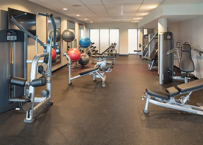 Dog friendly hotels Courtyard By Marriott Miami Airport