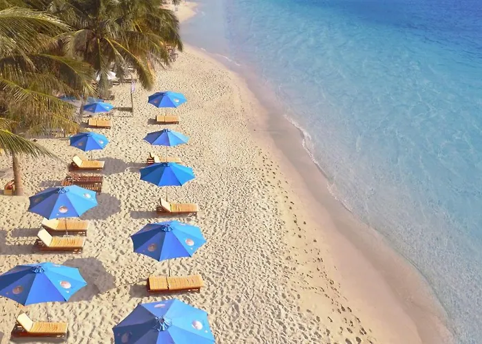Central hotel: Orange Resort